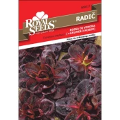 SEMENA ROYAL SEEDS RADIČ GRUMOLO R. 217