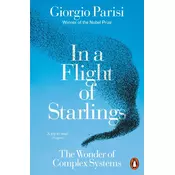In a Flight of Starlings