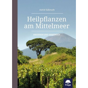 Heilpflanzen am Mittelmeer