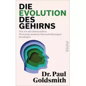 Die Evolution des Gehirns