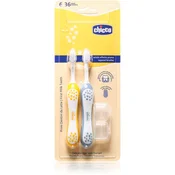 CHICCO Komplet zobnih ščetk za otroke Indigo-Mustard 6-36m, 2 kosa