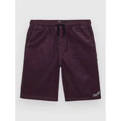 Volcom Outer Spaced Ew Cord Kids Shorts pistol punch