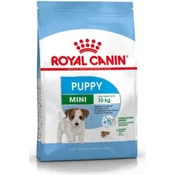Royal Canin ROYAL CANIN Mini Puppy SHN - suha hrana za pse - 2 kg