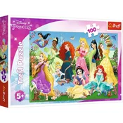 Tref line puzzle 100prince 16417 ( T64176 )