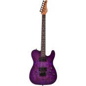 Schecter PT STANDARD Purple Burst Burl 3956 elektricna gitara