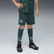 PUMA Manchester City 25/26 Shorts Youth, Clothing, Green Terrain, 13-14Y
