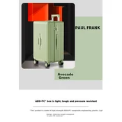 Paul Frank Kofer, 61cm, Zeleni