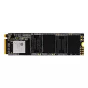 Biostar 1TB M.2 NVMe M760 SSD disk