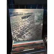 Fleet Foxes - Shore