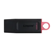 Kingston dtx/256gb usb3.2 Flashdrive 256gb ( 20541 )
