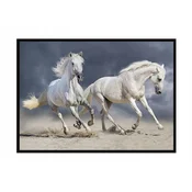 shumee PLAKAT V OKVIRJU 43x33 cm Konji P898