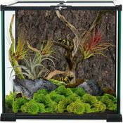 RP Stakleni terarij 30 x 30 x 30 cm