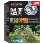 REPTI PLANET Dnevna žarnica za kopanje 50W