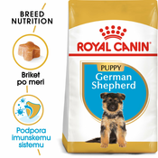 ROYAL CANIN Hrana za pse rase Nemacki ovcar Junior 12kg