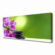 tulup.si Slika na platnu Orhideje green flowers 125x50 cm
