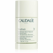 Caudalie Vinofresh trdi dezodorant 50 g