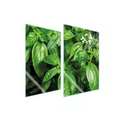 shumee ZAŠČITNA STEKLENA KROŽNIKA ZA KUHINJO 2x35x52 BAZILIKA