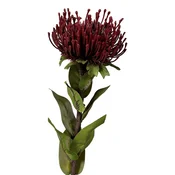 Umetna rastlina (višina 74 cm) Protea – Ego Dekor