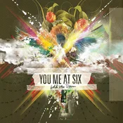 You Me At Six - Hold Me Down (Reissue) (LP)