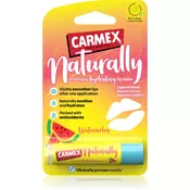 Carmex Watermelon vlažilni balzam za ustnice v paličici 4.25 g