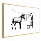Plakat - Banksy: Zebra Washing 60x40 Zlatni okvir s margom