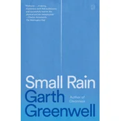 Small Rain