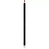 Anastasia Beverly Hills Lip Liner črtalo za ustnice odtenek Amethyst 1.49 g