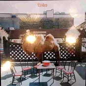 WILCO - WILCO (2LP)