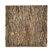 shumee BioVirgin plutasto ozadje temno 30x30 cm plutasto ozadje za terarije