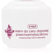 Ziaja Basic Care dnevna krema proti gubam s koencimom Q10  50 ml