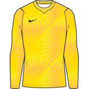 Nike Dres z dolgimi rokavi Dri-FIT Gardien VI Goalkeeper Long Sleeve