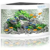 Juwel Akvarij Trigon 190 LED - bela