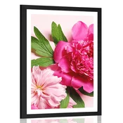 Plakat s paspartujem potonike v rožnati barvi - 40x60 silver