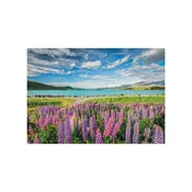 Clementoni Lupins at lake Tekapo – sestavljanka puzzle 1500 kosov