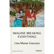 Imagine Breaking Everything
