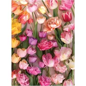 Galison - Puzzle Efemerni tulipani - 1 000 kosov