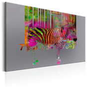 Slika - Code of Zebra 60x40