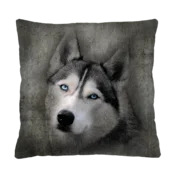 shumee Vzglavnik - HUSKY 40x40 cm