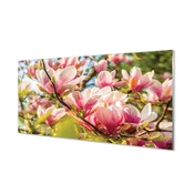 tulup.si Stenska plošča za kuhinjo Roza magnolija 140x70 cm