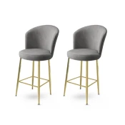 Hanah Home Set barskih stolica Alte, 2 komada, Sivo-beli