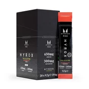 Mešanica elektrolitov THE Electro (pakiranje v vrečkah) - 20 x 9.7g - Lubenica