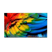 PHILIPS Pametni televizor Philips 43HFL6214U 4K Ultra HD, (5000533206)