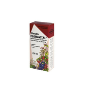 DIETPHARM FLORADIX Floravital 250 ml