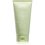 Abib Pena za cišcenje lica Heartleaf, 150 ml