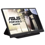 ASUS 15.6 ZenScreen MB166C