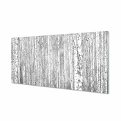tulup.si Slika na akrilnem steklu Črno-belo drevo gozd 100x50 cm 4 obešalnika