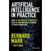 Artificial Intelligence in Practice