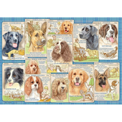 Ravensburger Slagalica Kuce, 1000 Delova
