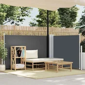 Uvlaciva bocna tenda 100 x 600 cm antracit