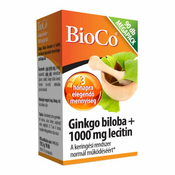 Ginkgo Biloba + 1000 mg Lecithin (90 kap.)